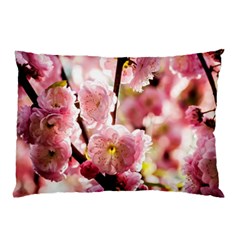 Blooming Almond At Sunset Pillow Case (two Sides) by FunnyCow