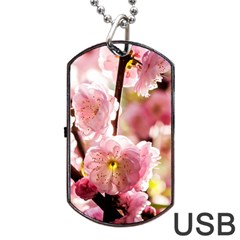 Blooming Almond At Sunset Dog Tag Usb Flash (one Side) by FunnyCow