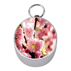 Blooming Almond At Sunset Mini Silver Compasses by FunnyCow