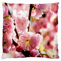 Blooming Almond At Sunset Standard Flano Cushion Case (one Side) by FunnyCow