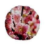 Blooming Almond At Sunset Standard 15  Premium Flano Round Cushions Front