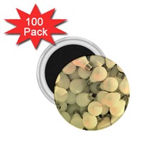 Bulbs 1 75  Magnets (100 Pack)  by snowwhitegirl