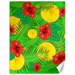 Orange Tropics Green Canvas 18  X 24   by snowwhitegirl