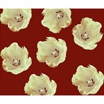 Red Tulips Deluxe Canvas 14  x 11  14  x 11  x 1.5  Stretched Canvas