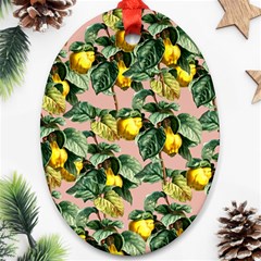 Fruit Branches Ornament (oval) by snowwhitegirl