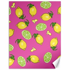 Lemons And Limes Pink Canvas 18  x 24  