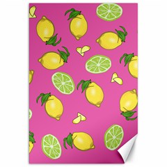 Lemons And Limes Pink Canvas 20  x 30  