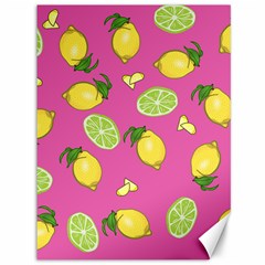 Lemons And Limes Pink Canvas 36  x 48  