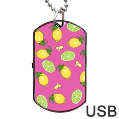 Lemons And Limes Pink Dog Tag USB Flash (One Side)