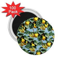 Fruit Branches Blue 2 25  Magnets (100 Pack)  by snowwhitegirl