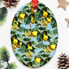 Fruit Branches Blue Oval Ornament (two Sides) by snowwhitegirl