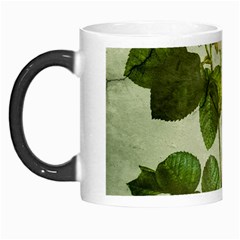 Peony 2507643 1920 Morph Mugs by vintage2030