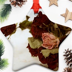 Shabby 1814373 960 720 Ornament (star) by vintage2030