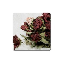 Roses 1802790 960 720 Square Magnet by vintage2030