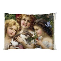 Vintage 1501558 1280 Pillow Case (two Sides) by vintage2030