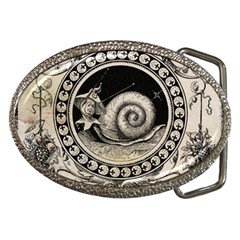 Snail 1618209 1280 Belt Buckles