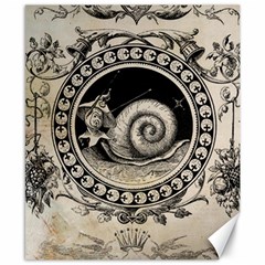 Snail 1618209 1280 Canvas 8  X 10  by vintage2030