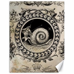 Snail 1618209 1280 Canvas 18  X 24  by vintage2030