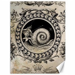 Snail 1618209 1280 Canvas 36  X 48  by vintage2030