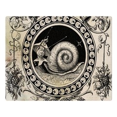 Snail 1618209 1280 Double Sided Flano Blanket (large)  by vintage2030