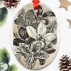 Flowers 1776382 1280 Ornament (oval) by vintage2030