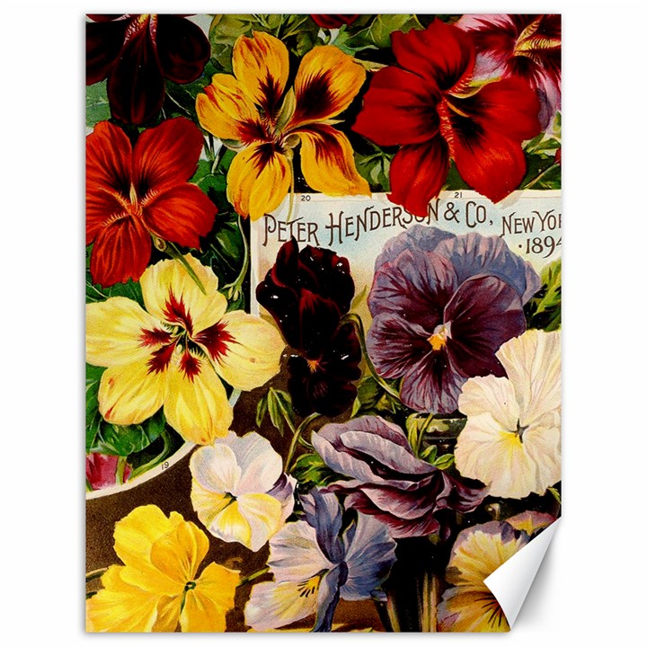 Flowers 1776534 1920 Canvas 12  x 16 