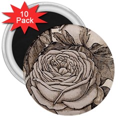 Flowers 1776630 1920 3  Magnets (10 Pack)  by vintage2030