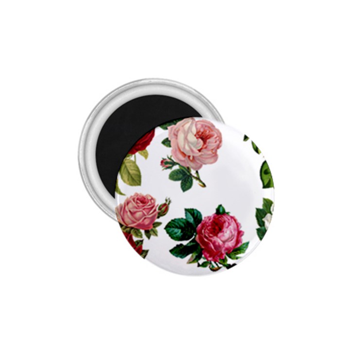 Roses 1770165 1920 1.75  Magnets