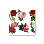 Roses 1770165 1920 Square Magnet Front