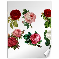 Roses 1770165 1920 Canvas 18  X 24  by vintage2030