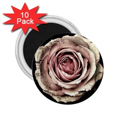 Vintage Rose 2 25  Magnets (10 Pack)  by vintage2030