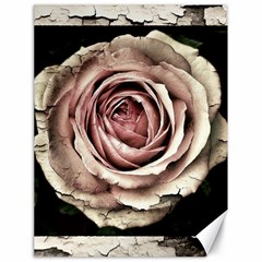 Vintage Rose Canvas 18  X 24  by vintage2030