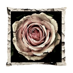 Vintage Rose Standard Cushion Case (one Side)