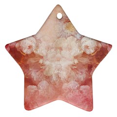 Floral 2555372 960 720 Ornament (star) by vintage2030