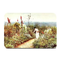 Lady And Scenery Plate Mats