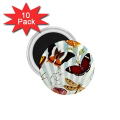 Butterfly 1064147 960 720 1 75  Magnets (10 Pack)  by vintage2030