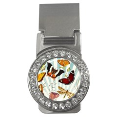 Butterfly 1064147 960 720 Money Clips (cz)  by vintage2030