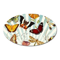 Butterfly 1064147 960 720 Oval Magnet by vintage2030