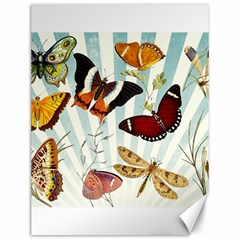 Butterfly 1064147 960 720 Canvas 12  X 16  by vintage2030