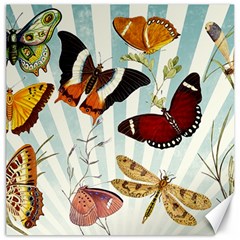 Butterfly 1064147 960 720 Canvas 16  X 16  by vintage2030