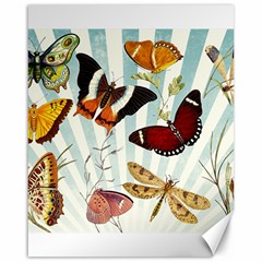 Butterfly 1064147 960 720 Canvas 16  X 20  by vintage2030