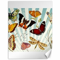 Butterfly 1064147 960 720 Canvas 36  X 48  by vintage2030