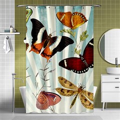 Butterfly 1064147 960 720 Shower Curtain 48  X 72  (small)  by vintage2030