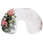 Background 1362160 1920 Travel Neck Pillows Front