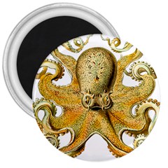 Gold Octopus 3  Magnets