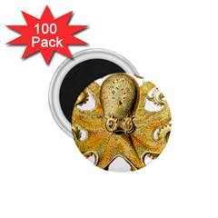 Gold Octopus 1.75  Magnets (100 pack) 