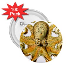 Gold Octopus 2 25  Buttons (100 Pack)  by vintage2030