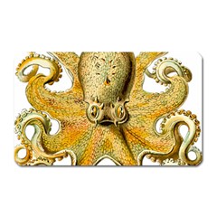 Gold Octopus Magnet (Rectangular)