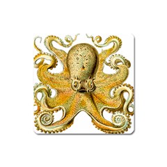 Gold Octopus Square Magnet