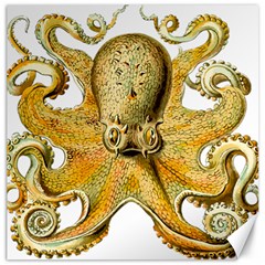 Gold Octopus Canvas 12  x 12 